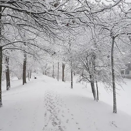 アパート Gaestewohnung Direkt An Der Wallmauer ノイブランデンブルク